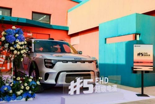 W020251124582263696461