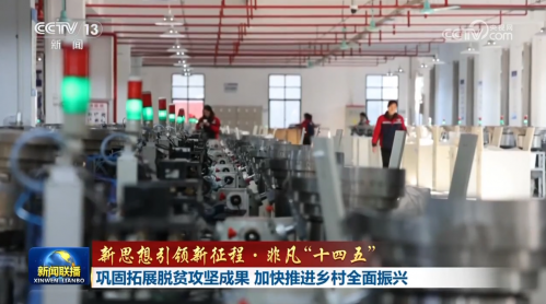 巩固拓展脱贫攻坚成果 加快推进乡村全面振兴