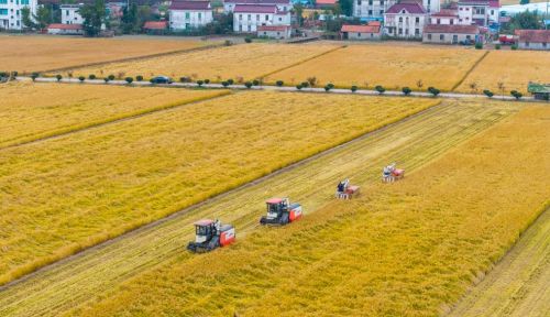 农田提质效 沃野焕新机