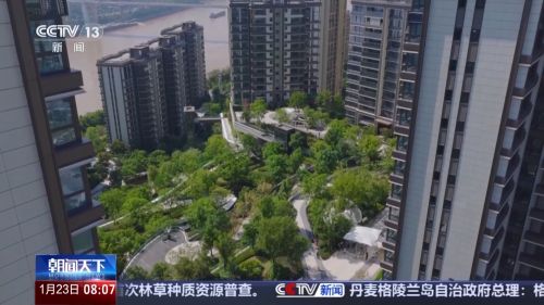 204_6290930_cfdf0e38262ef485b1a47878026cf268